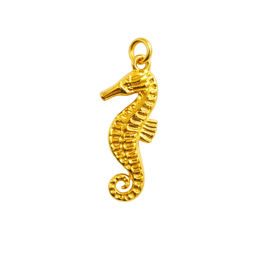 Seahorse
