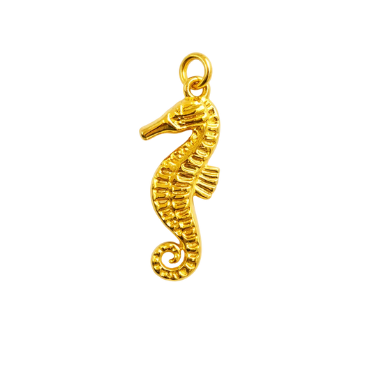Seahorse